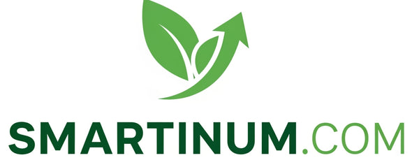 smartinum.com